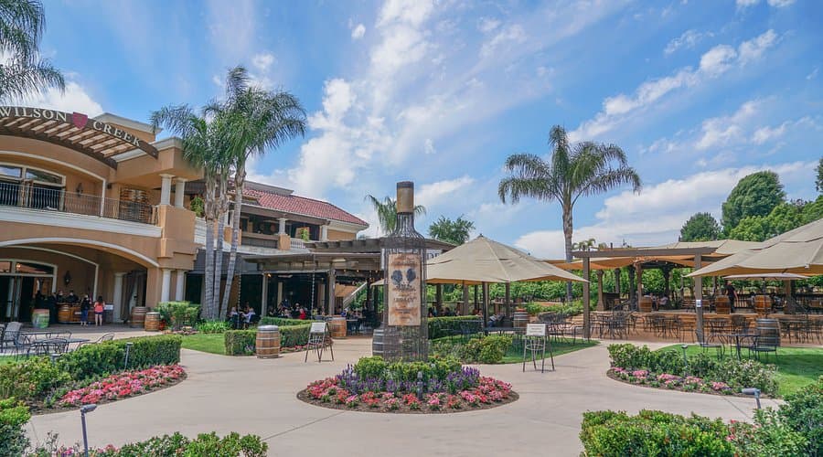 Wilson Creek Winery courtyard, palm trees, and outdoor tasting patio